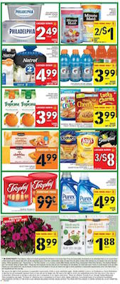 Food Basics Flyer 5 Jun 2016