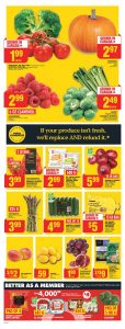 No Frills Flyer Special Offers 15 Oct 2023 