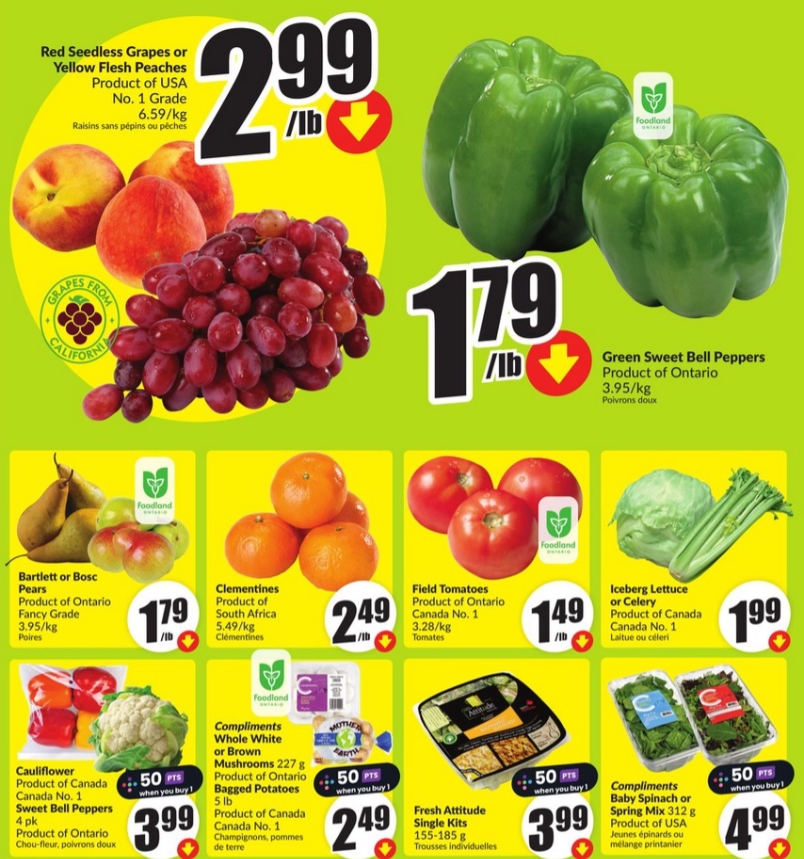 FreshCo Flyer Coupon Deals 20 Sept 2024