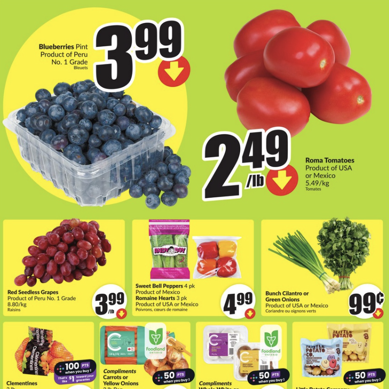 FreshCo Flyer Special Coupons 7 Jan 2025